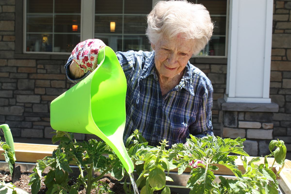 An elderly woman waters her plants with a green watering can in a garden setting.
