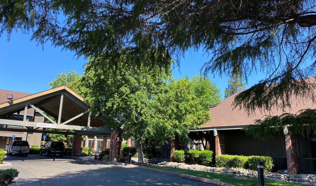 A sunny day view of a residential area with trees and a driveway.