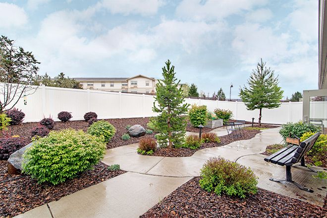 A neatly landscaped garden with a paved pathway surrounded by trees and bushes.