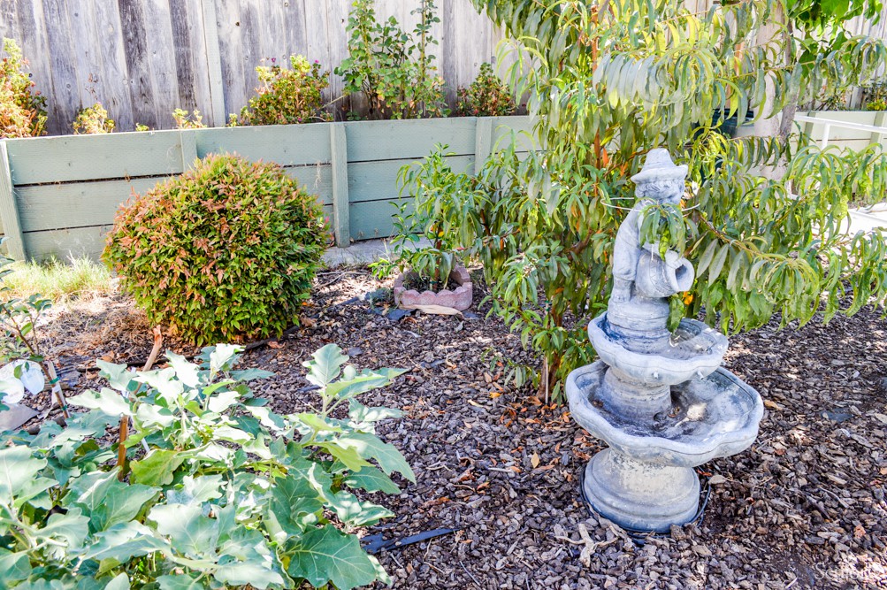 A serene garden with a small fountain statue surrounded by lush greenery.