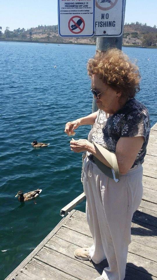 A woman standing on a dock feeding ducks in the water on a sunny day.