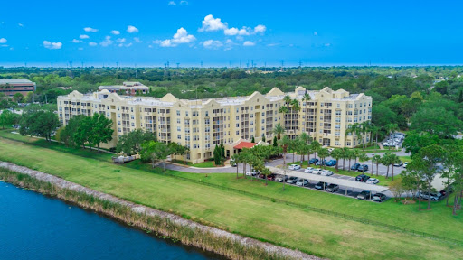 Stratford Court Of Palm Harbor
