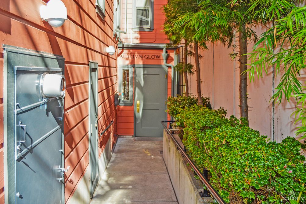 A narrow alley with a brick building wall, lined with plants and greenery.