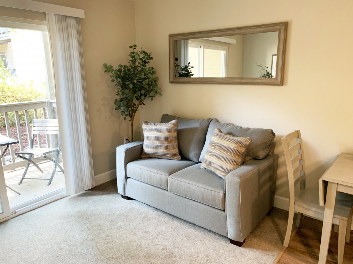 A cozy living room with a gray sofa, decorative pillows, a large mirror, and an indoor plant next to a sliding glass door.