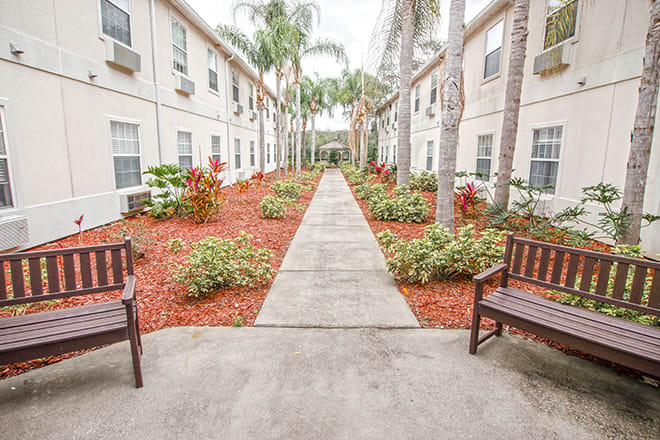 A landscaped courtyard with a pathway lined by palm trees and benches, situated between apartment buildings.