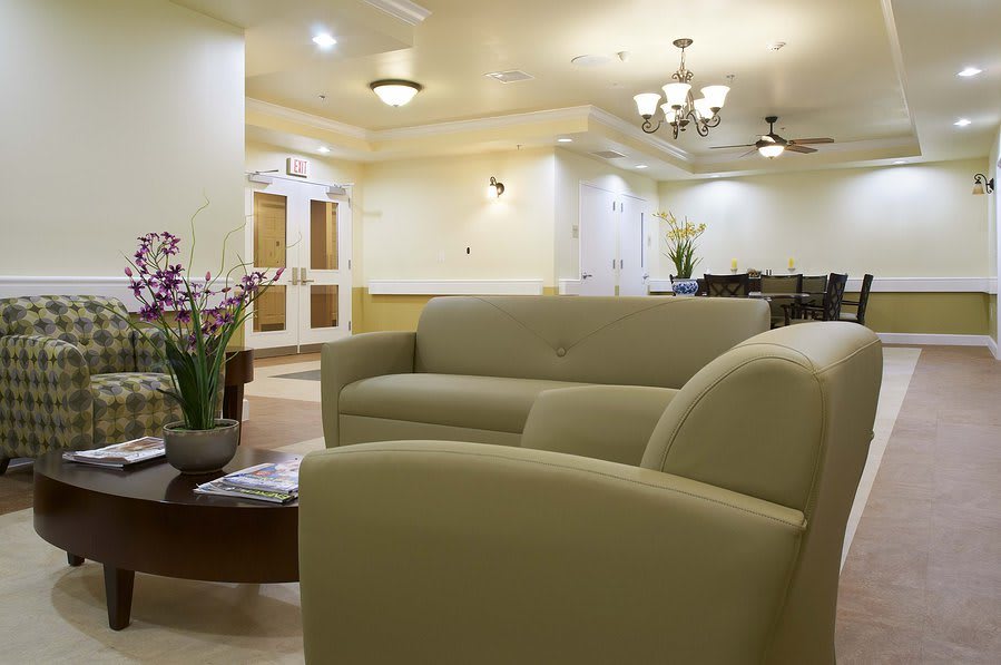 A modern lobby with sofas and decorative plants.