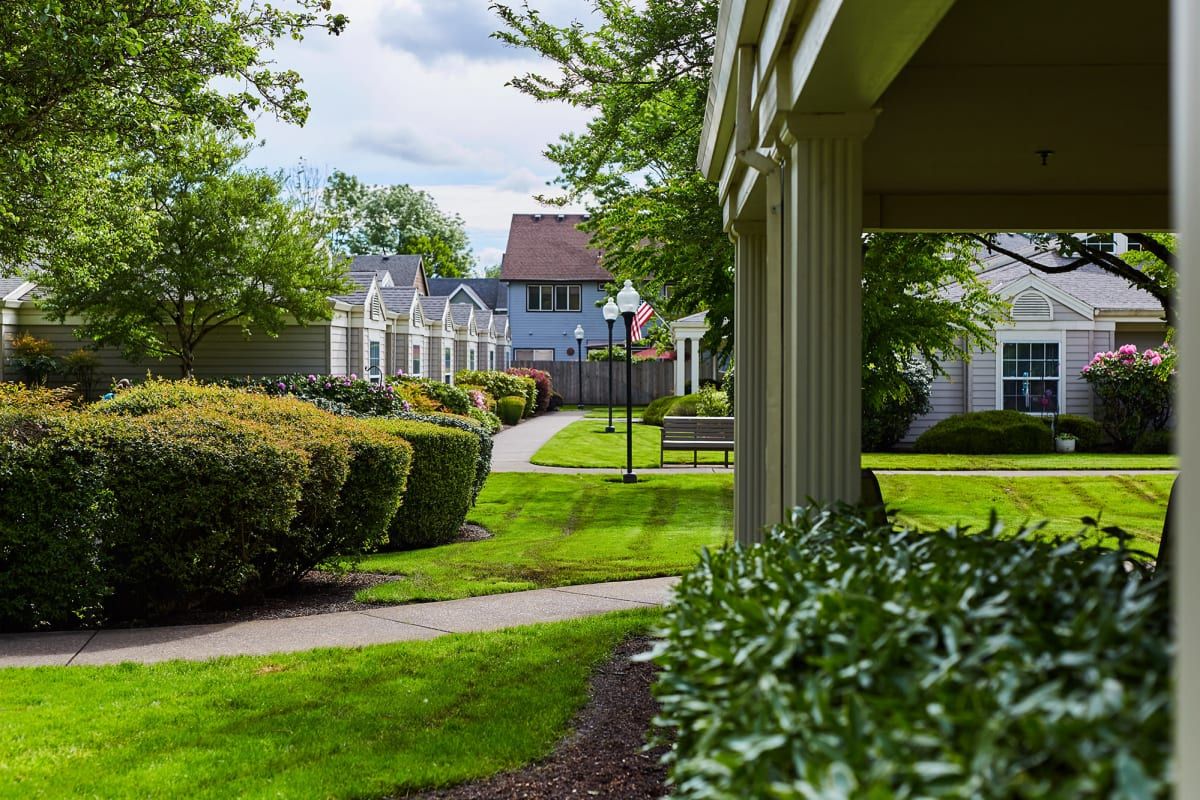 A peaceful residential garden with a well-maintained pathway and lush greenery.