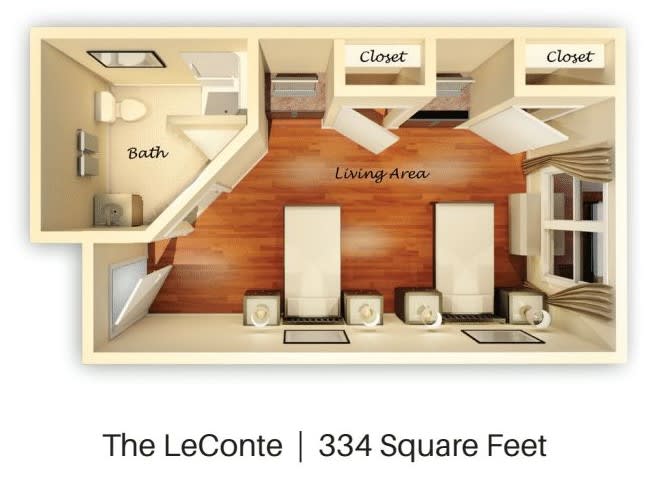 The LeConte: A 334 square foot studio apartment floor plan with a living area, bathroom, and closet.
