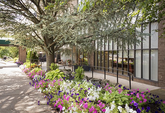 A beautifully landscaped garden path with vibrant flowers and lush greenery.