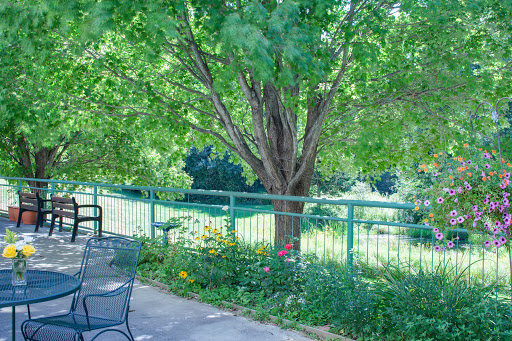 A serene outdoor scene featuring a lush green tree and blooming flowers along a fence.
