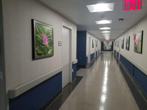 A well-lit hospital hallway adorned with floral artwork.