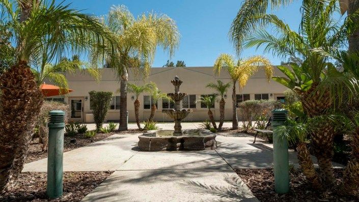 A sunny courtyard featuring a central fountain surrounded by palm trees and a building exterior.