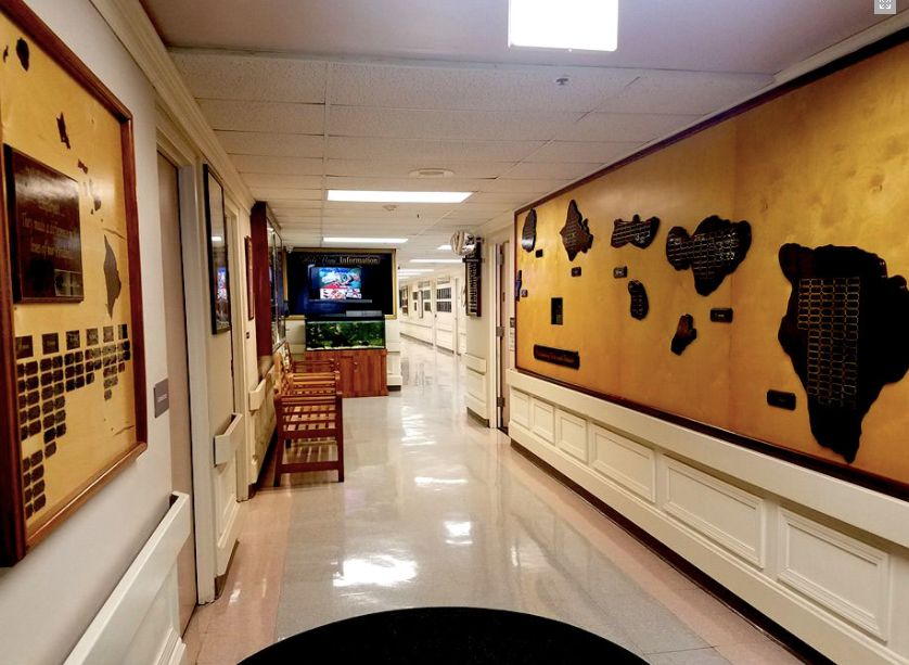 A museum hallway lined with exhibits and artifacts.
