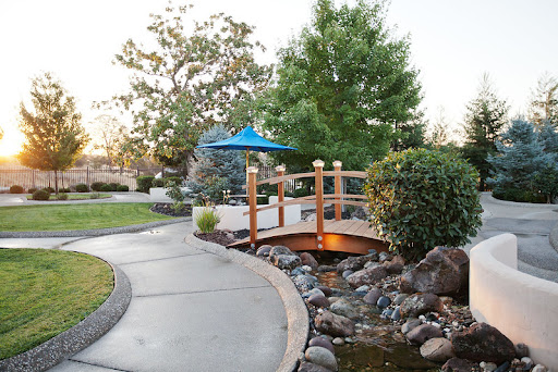 A serene park scene featuring a charming wooden bridge over a gentle waterway, surrounded by lush greenery and a winding pathway.