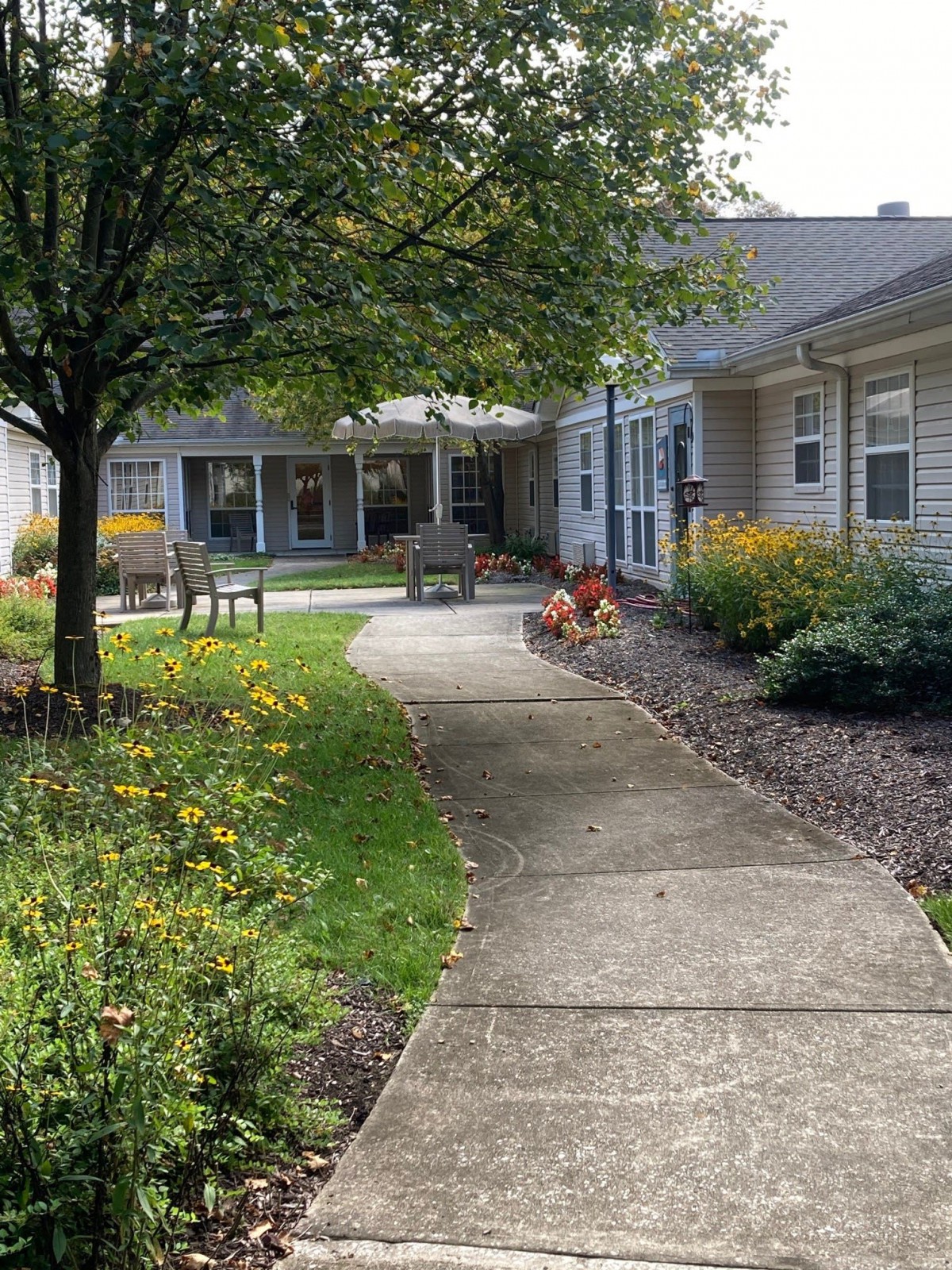 A landscaped garden with a concrete pathway and benches surrounded by buildings.