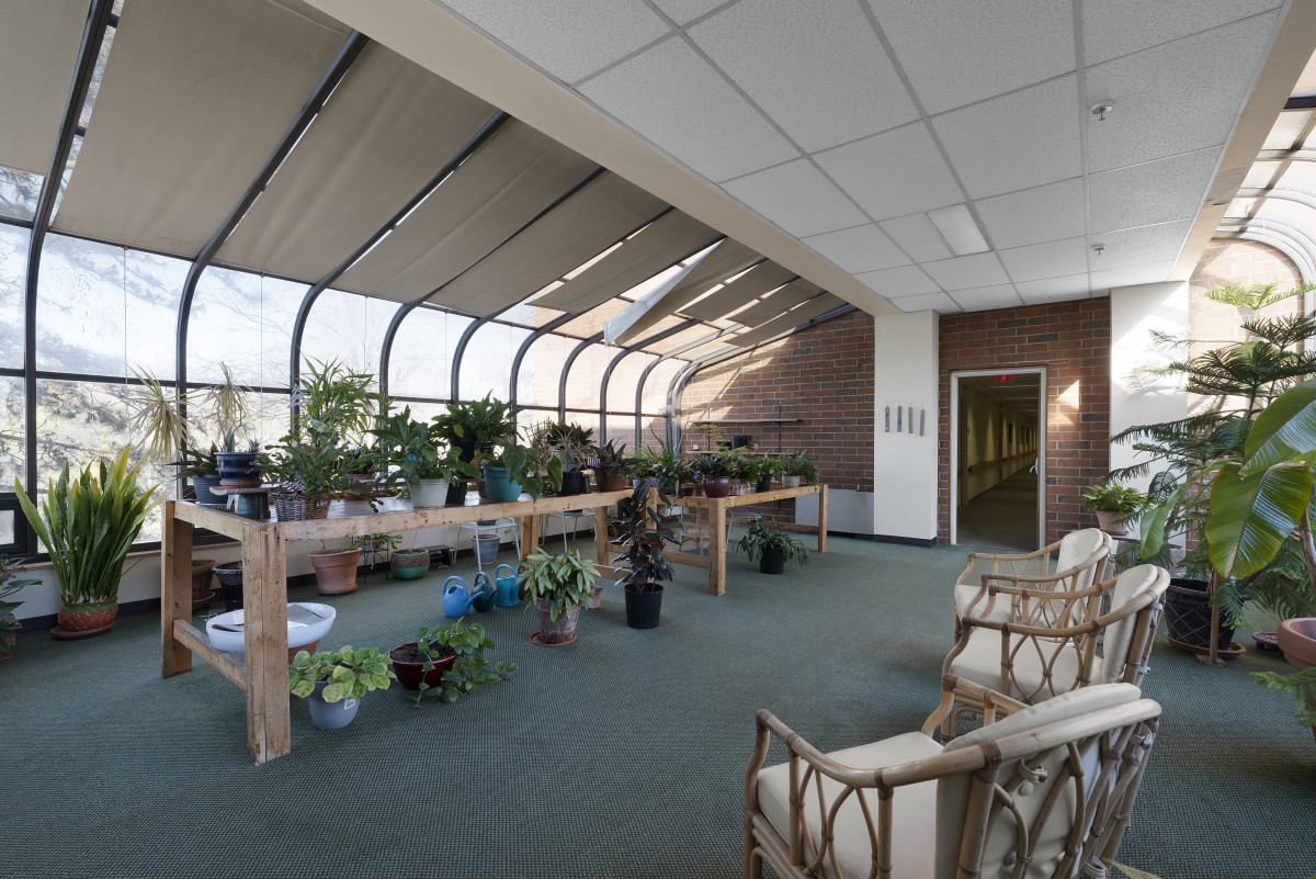 A brightly lit indoor space with a variety of potted plants and comfortable seating, creating a greenhouse-like atmosphere.