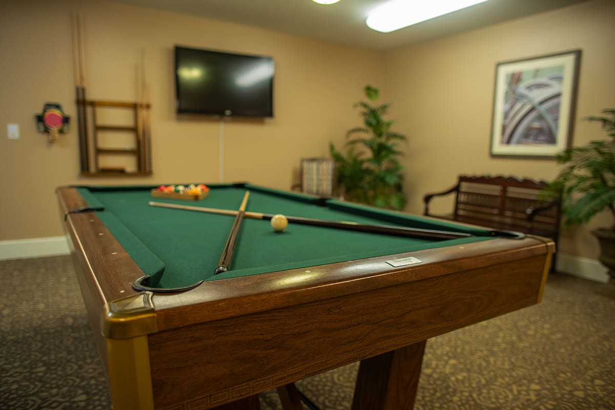 A cozy game room featuring a pool table and television for entertainment.