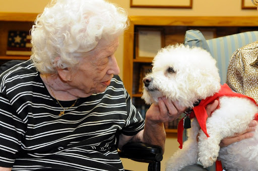 A heartwarming moment of connection between an elderly woman and a friendly dog, bringing joy and companionship in a care facility.