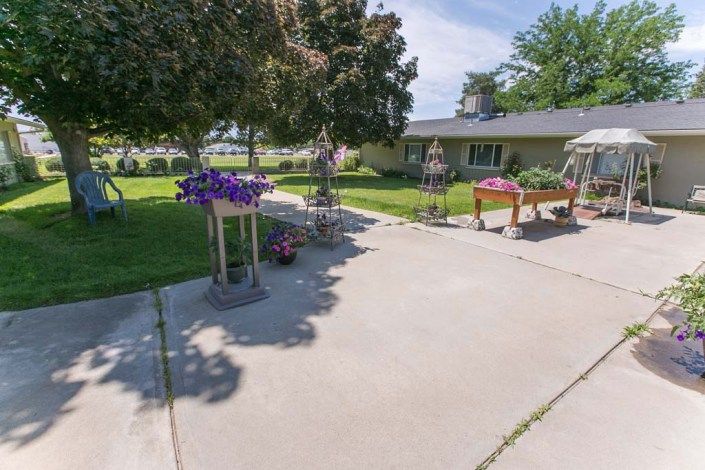 A sunny outdoor patio area with various flowers and plants near a house.