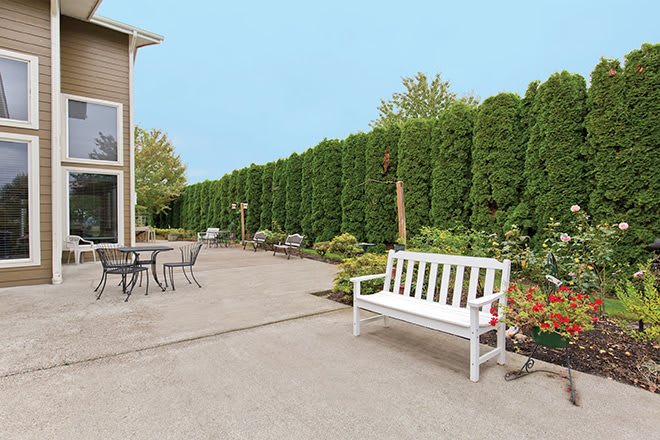 A neat patio area with a white bench, table, and chairs, bordered by a tall green hedge.