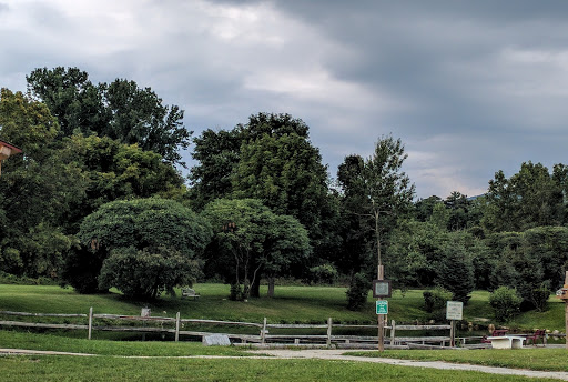 A serene park scene featuring lush greenery and a peaceful water body under a cloudy sky.