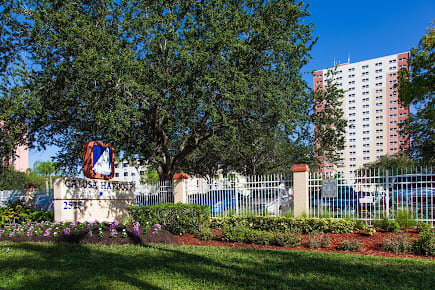 A scenic park area with a large tree, landscaped garden, and a background of urban buildings.