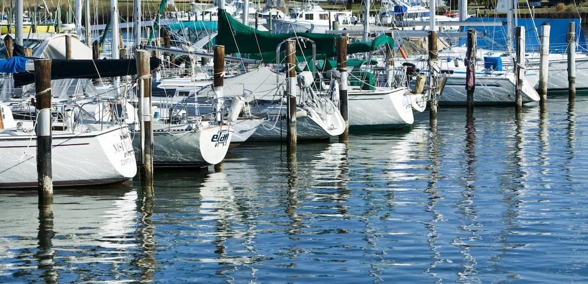 Sailboats docked at a marina with reflections on the water.