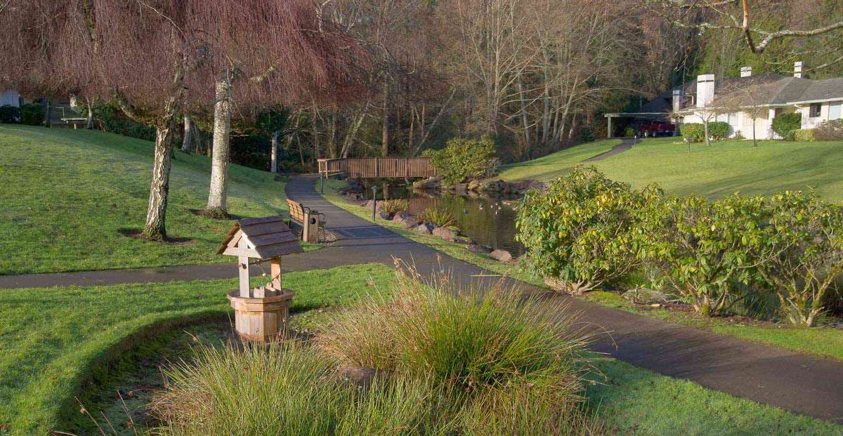 A scenic garden path with a bridge over a pond, surrounded by lush greenery and trees.