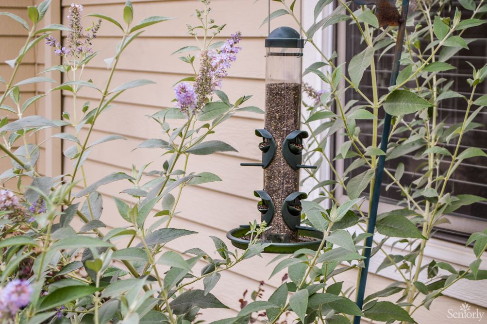 A bird feeder hangs in a garden surrounded by green plants and purple flowers.