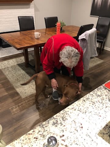 A person in a red sweater is petting a brown dog in the kitchen.