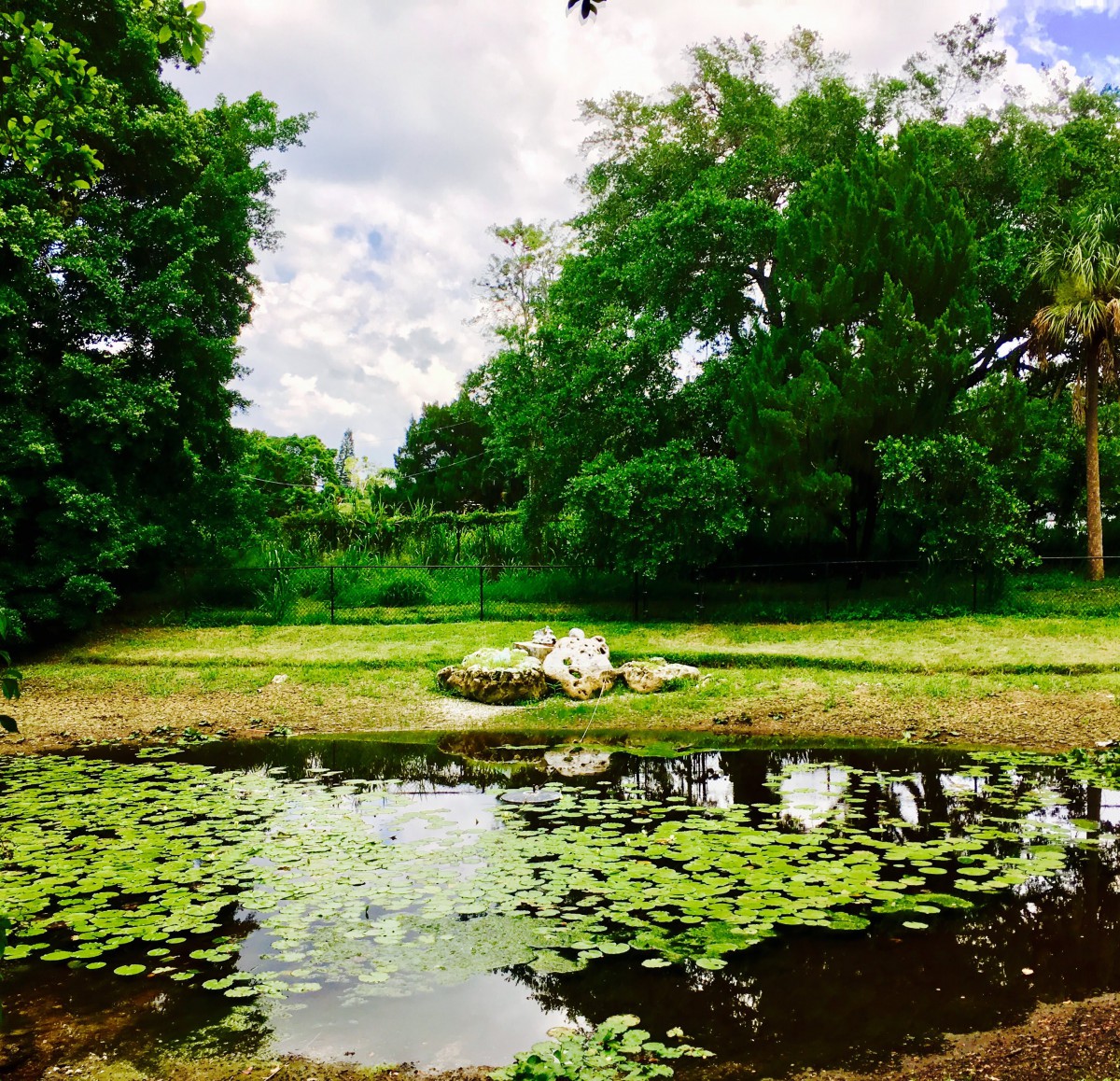 A serene pond surrounded by lush greenery and lilypads under a partly cloudy sky.