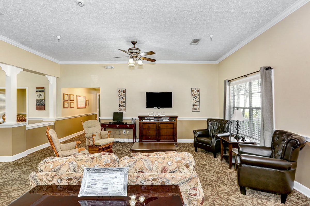 A cozy living room with a television, sofas, and elegant decor.