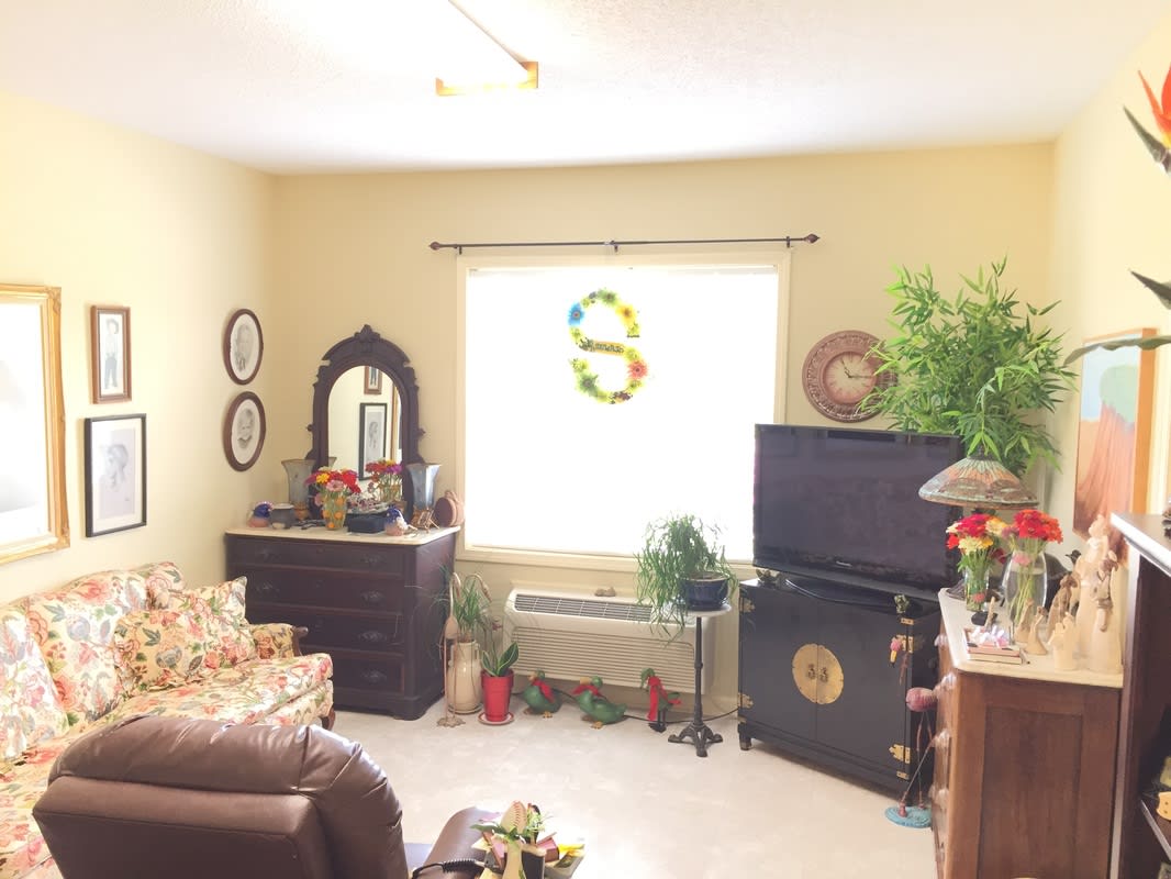 A cozy living room with a comfortable sofa, TV, and decorative elements like plants and a mirror.