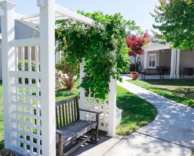 A picturesque garden scene featuring a white pergola adorned with greenery, a wooden bench, and a winding pathway leading to nearby houses.