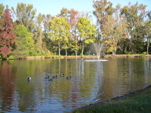 A serene park scene featuring a peaceful pond with ducks and a fountain surrounded by lush greenery.