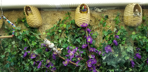 A vibrant display of purple flowers surrounded by green foliage and decorative baskets.