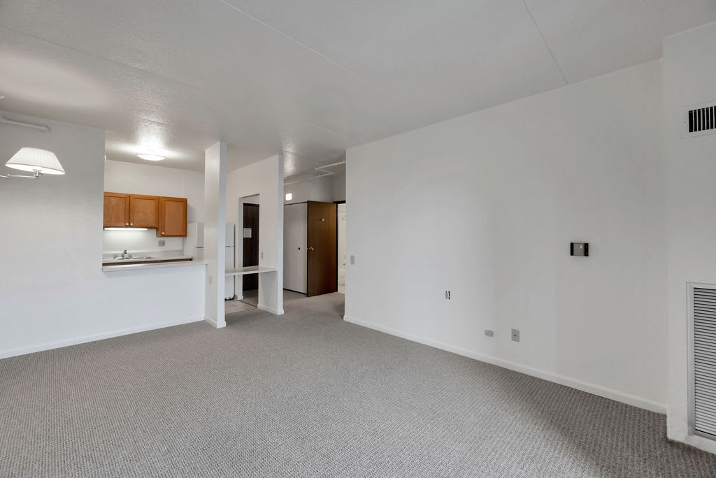 Spacious open-plan living area with a view of the kitchen and hallway.
