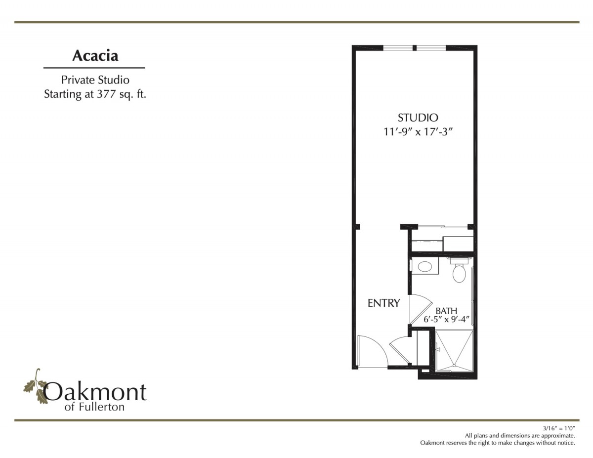 Acacia studio apartment floor plan with a single living area and bathroom.