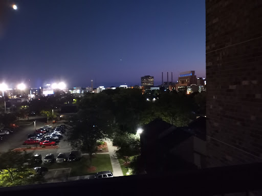 A serene view of the city at night, illuminated by lights and surrounded by nature.