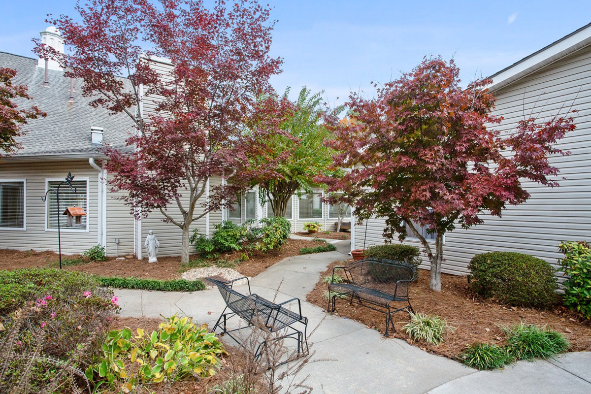 A serene garden with pathways and benches surrounded by trees.