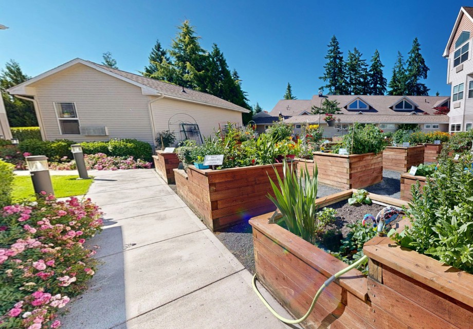 A sunny day in a well-maintained garden with raised beds filled with various plants.