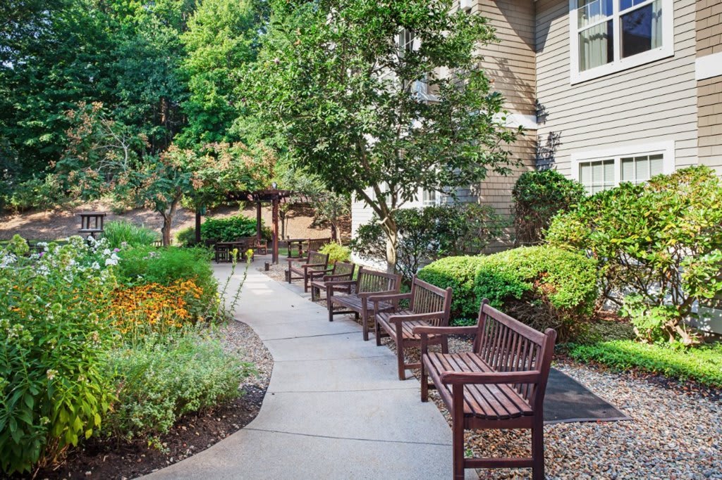 A serene garden pathway lined with wooden benches and lush greenery.
