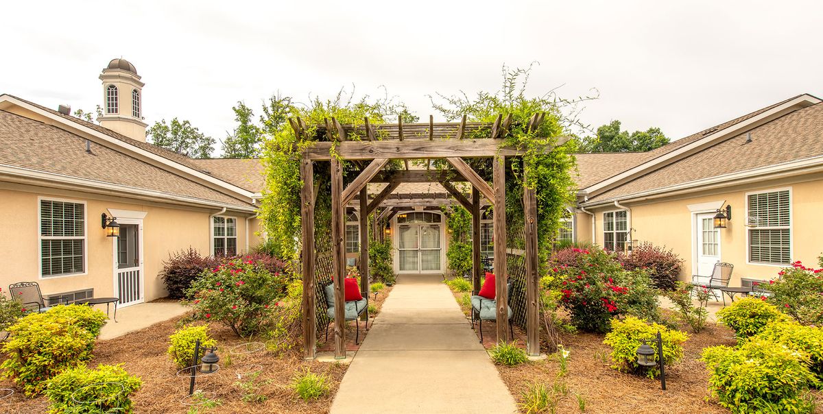 A serene garden pathway with a wooden pergola adorned with greenery.