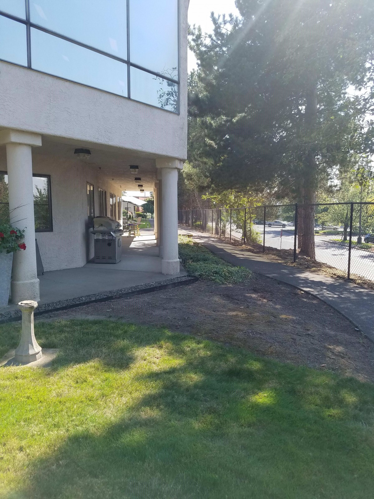A sunny day outside a building with a grassy area and trees lining the sidewalk.