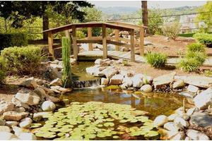 A serene garden pond with a wooden bridge and lilypads.