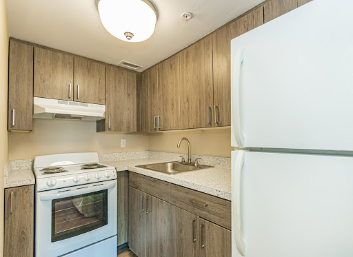 A contemporary kitchen featuring wooden cabinetry and essential appliances.