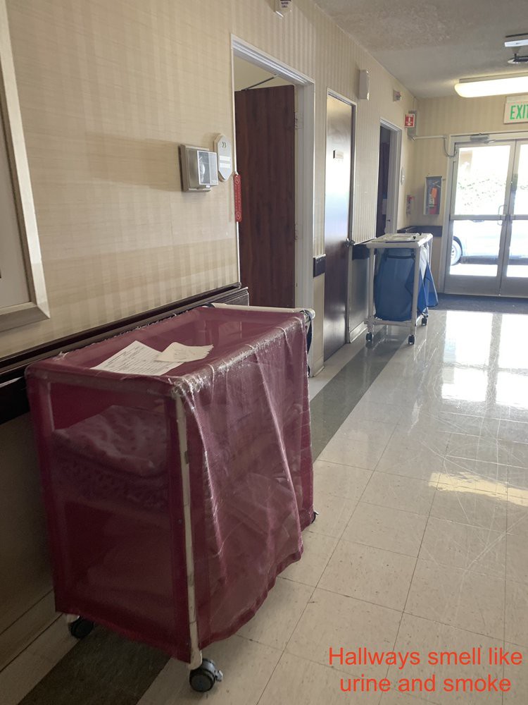 A hospital hallway with carts and elevators in view.