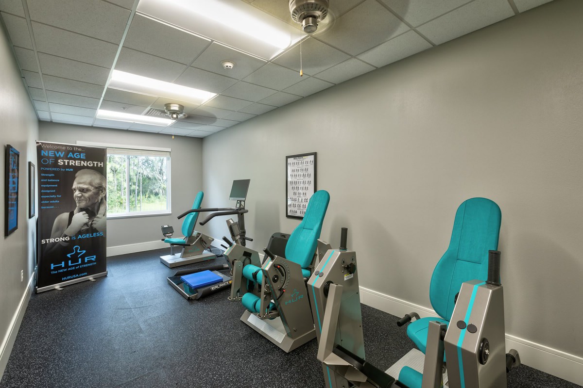 A modern gym room with various exercise machines and bright natural lighting.