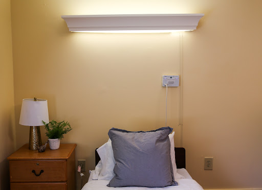 A cozy corner of a bedroom featuring soft lighting, comfortable bedding, and a touch of greenery.