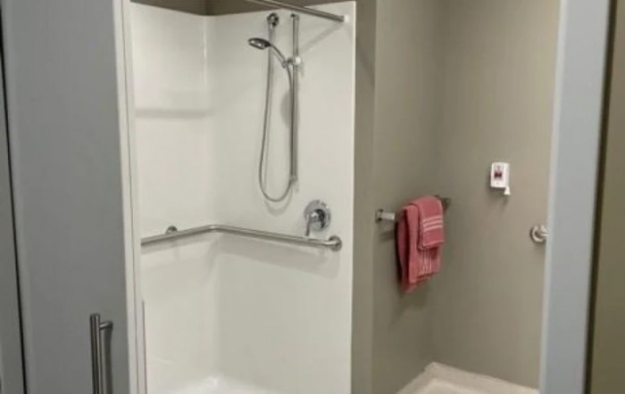 A modern, accessible bathroom with a shower and grab bars.